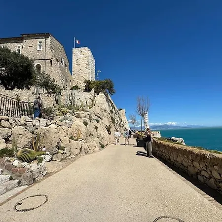 Lägenhet Vieil Rue Du Bateau Antibes