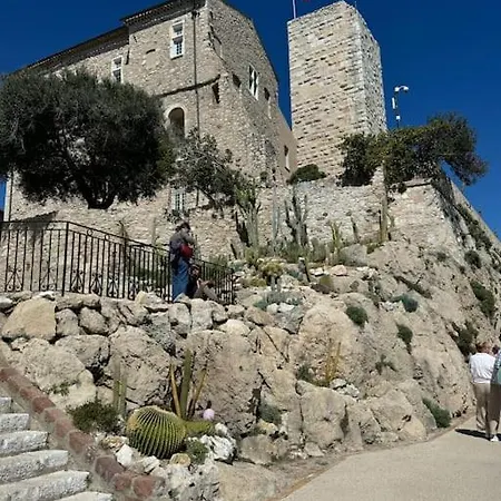 Vieil Rue Du Bateau אנטיב